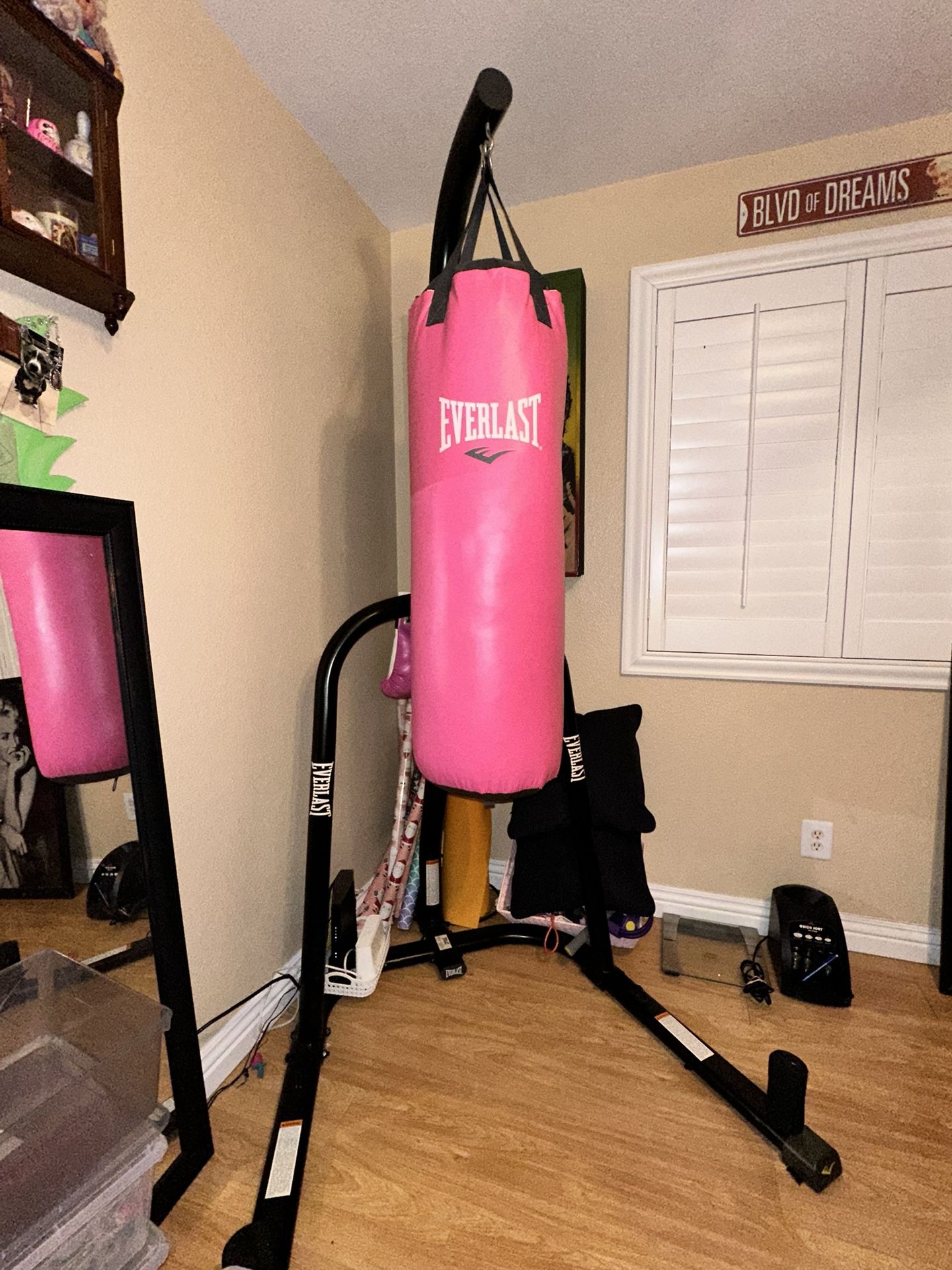 Everlast Pink Punching Bag