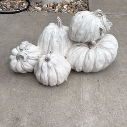 Pumpkins Decorations 