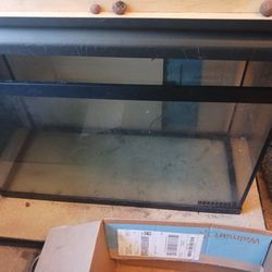 Fish Tanks And Equipment 