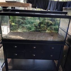 Fish Tank 75 G 