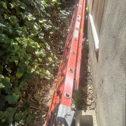 24 Foot Ladder (Werner)