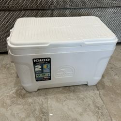 25 QT Igloo Cooler with Handles