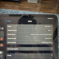 Apple iPad Pro 4th Generation 12.9in 256GB