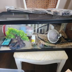 Reptile Habitat