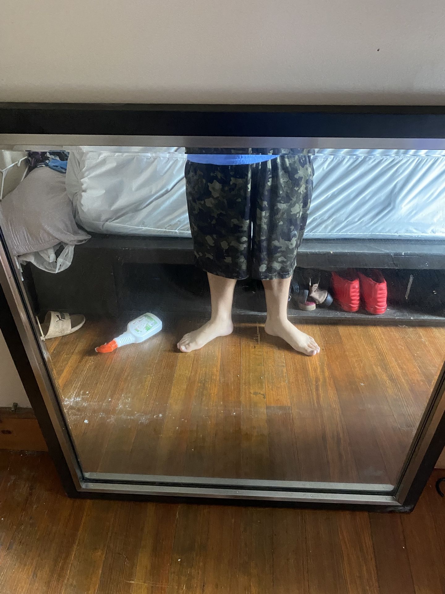 Mirror