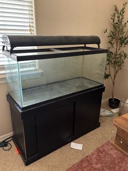 100 gallon Aquarium