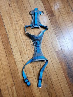Kurgo dog no pull harnesses