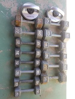 Dumbells and Perfect Pushups