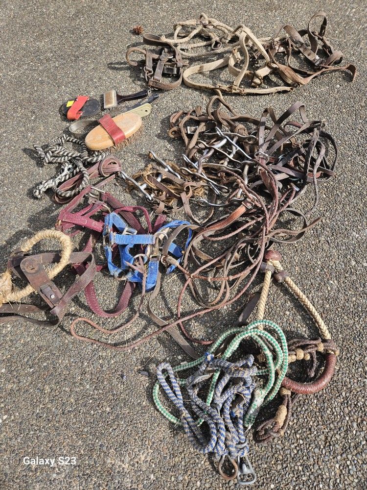 Horse And Pony Tack, Bridles, Leads , Misc.