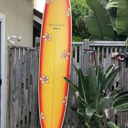 Surfboard Longboard 