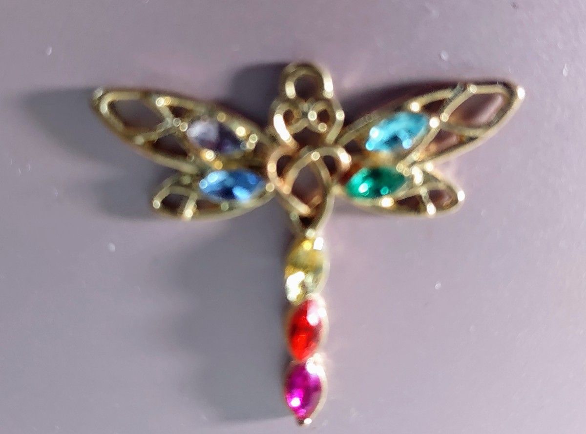 Dragonfly Charm Pendant