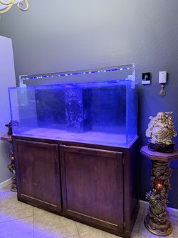 110 Gallon Acrylic Tank with Sump