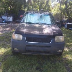 2005 Ford Escape Don't Run 