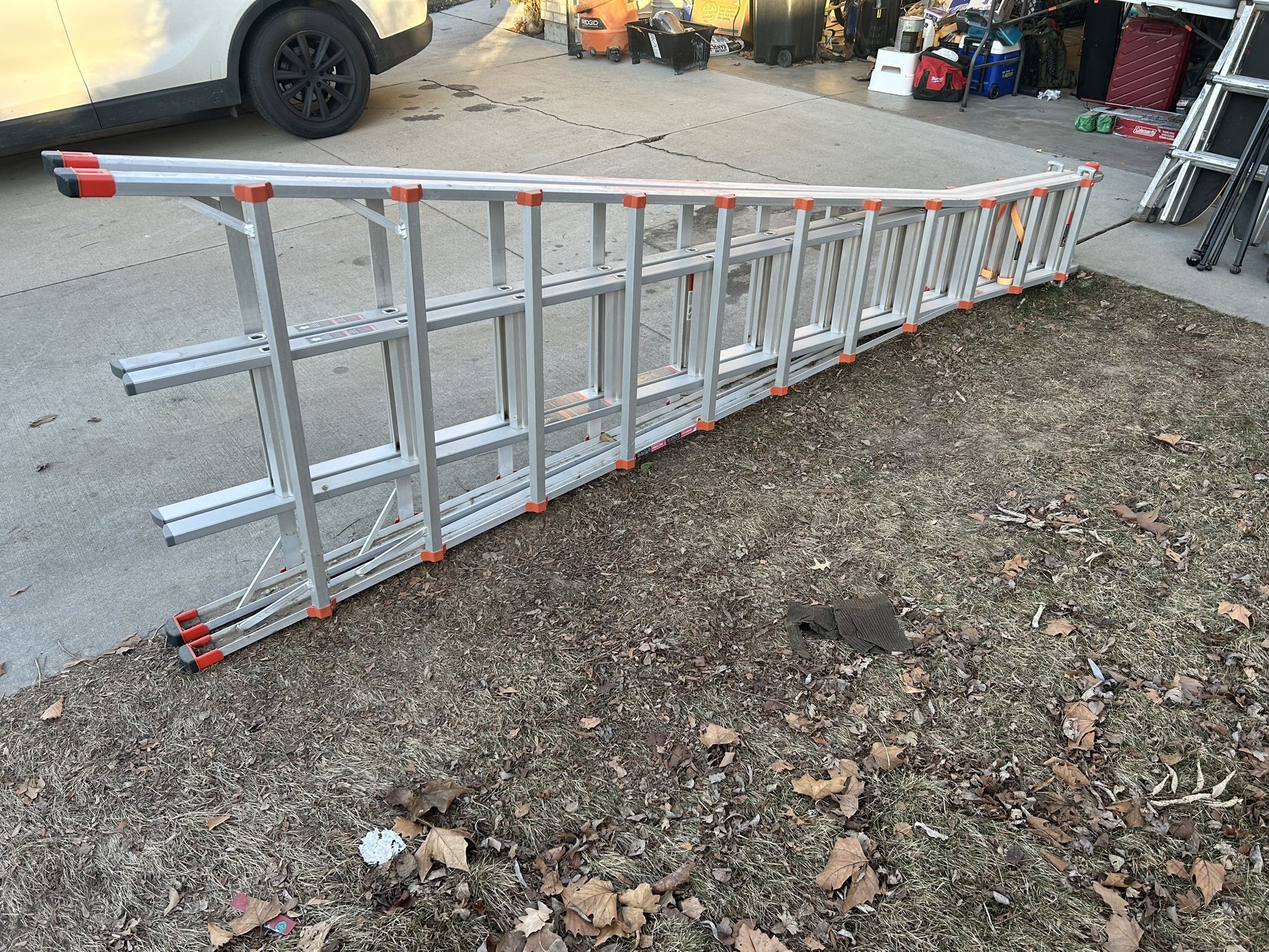 Little Giant Ladder