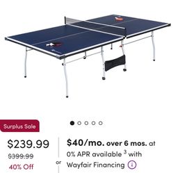 Ping Pong Table 