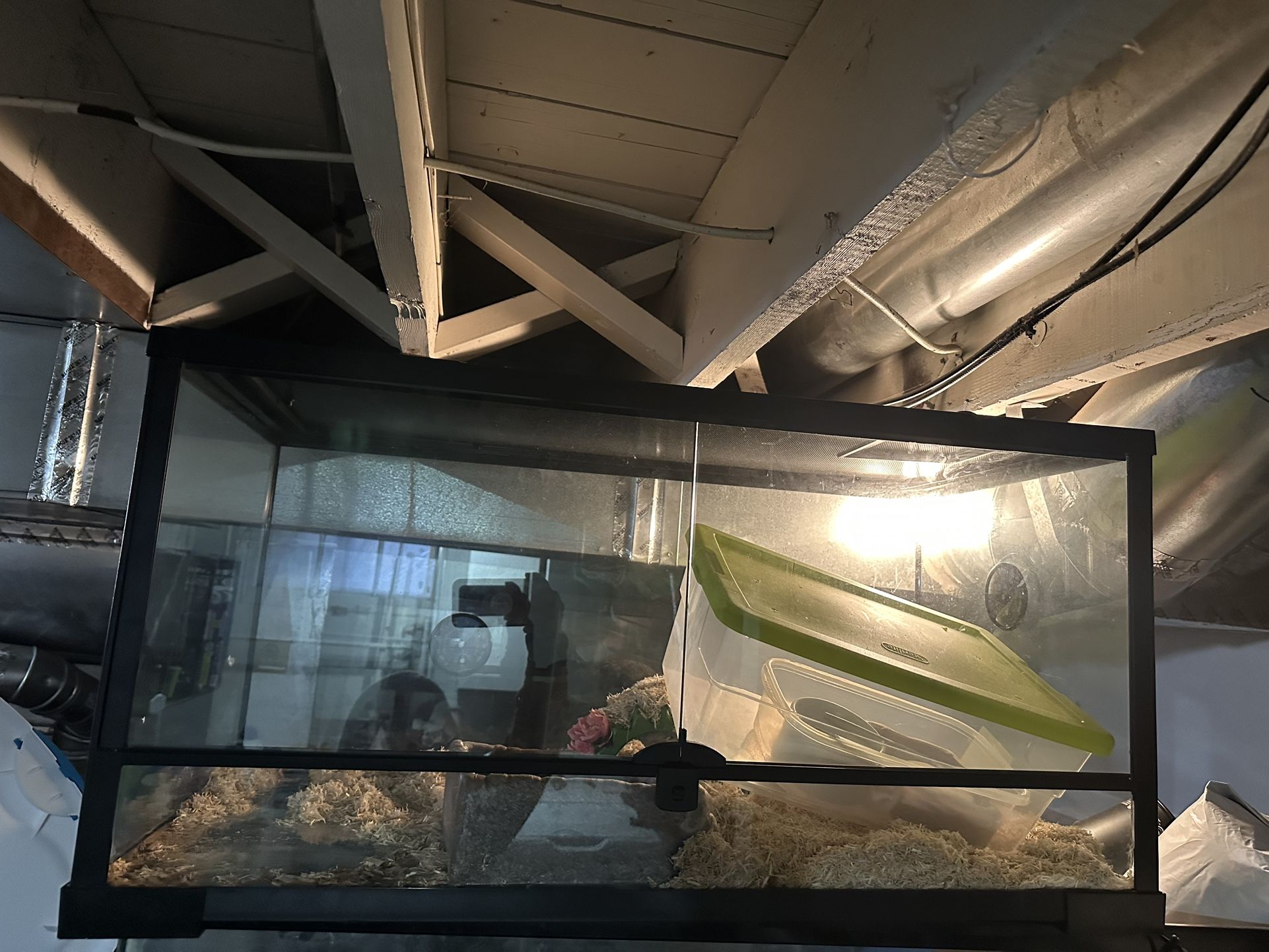 Terrarium & Aquariums Available Different Size Gallons Message Me For Price And Details , Deals Available On A Same Day Pick Up Only!