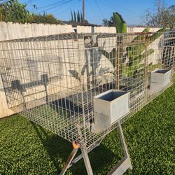 KW Rabbit Cage