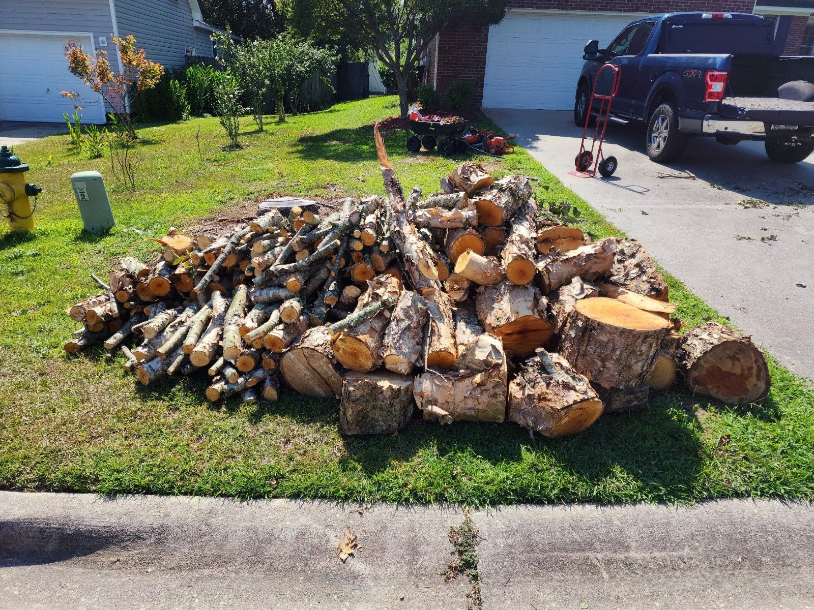 FREE Firewood 2828 Franzia Dr. Fayetteville NC
