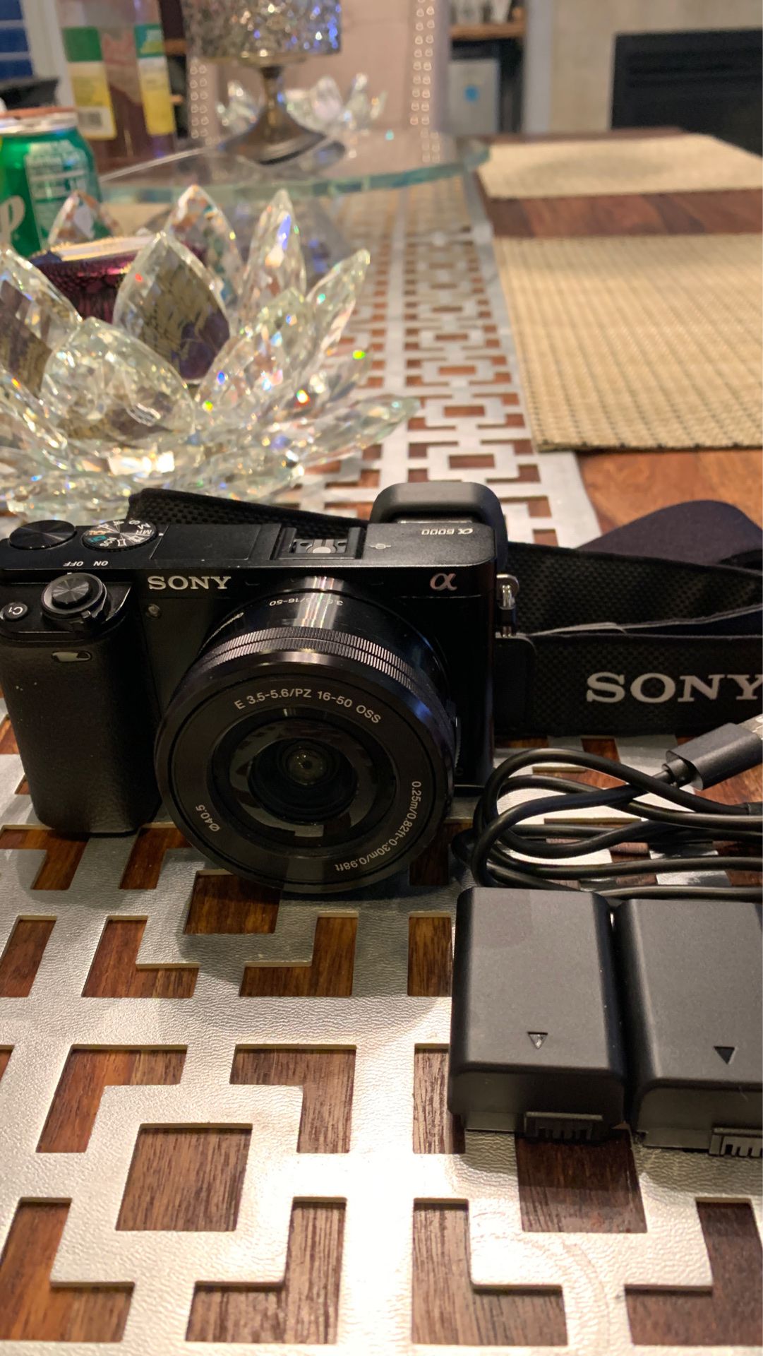Sony Alpha 6000 camera