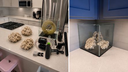 Rimless Saltwater Aquarium Setup w/ Light & Accessories