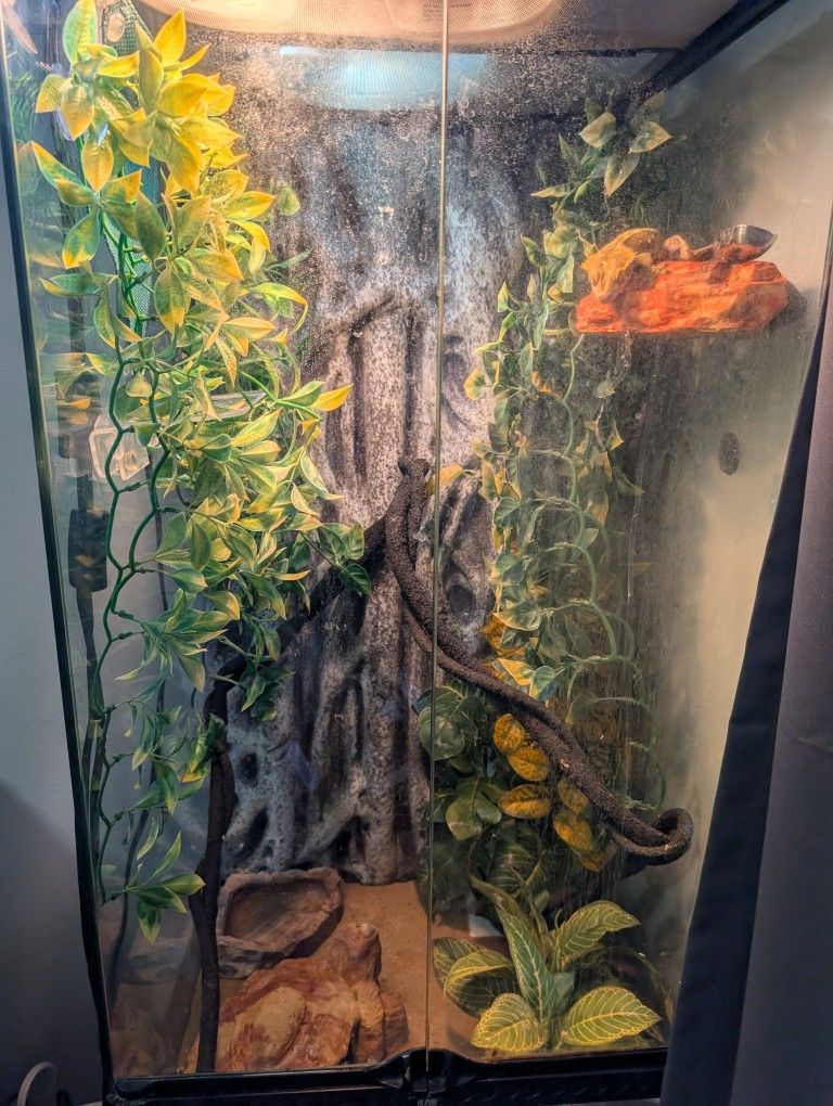 Reptile Cages, Created Gecko, & Kit For Sale!