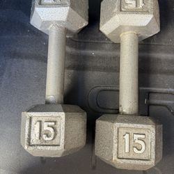15 Lb  Dumbbells set