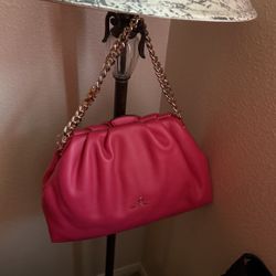 Fuchsia Michael Kors Bag