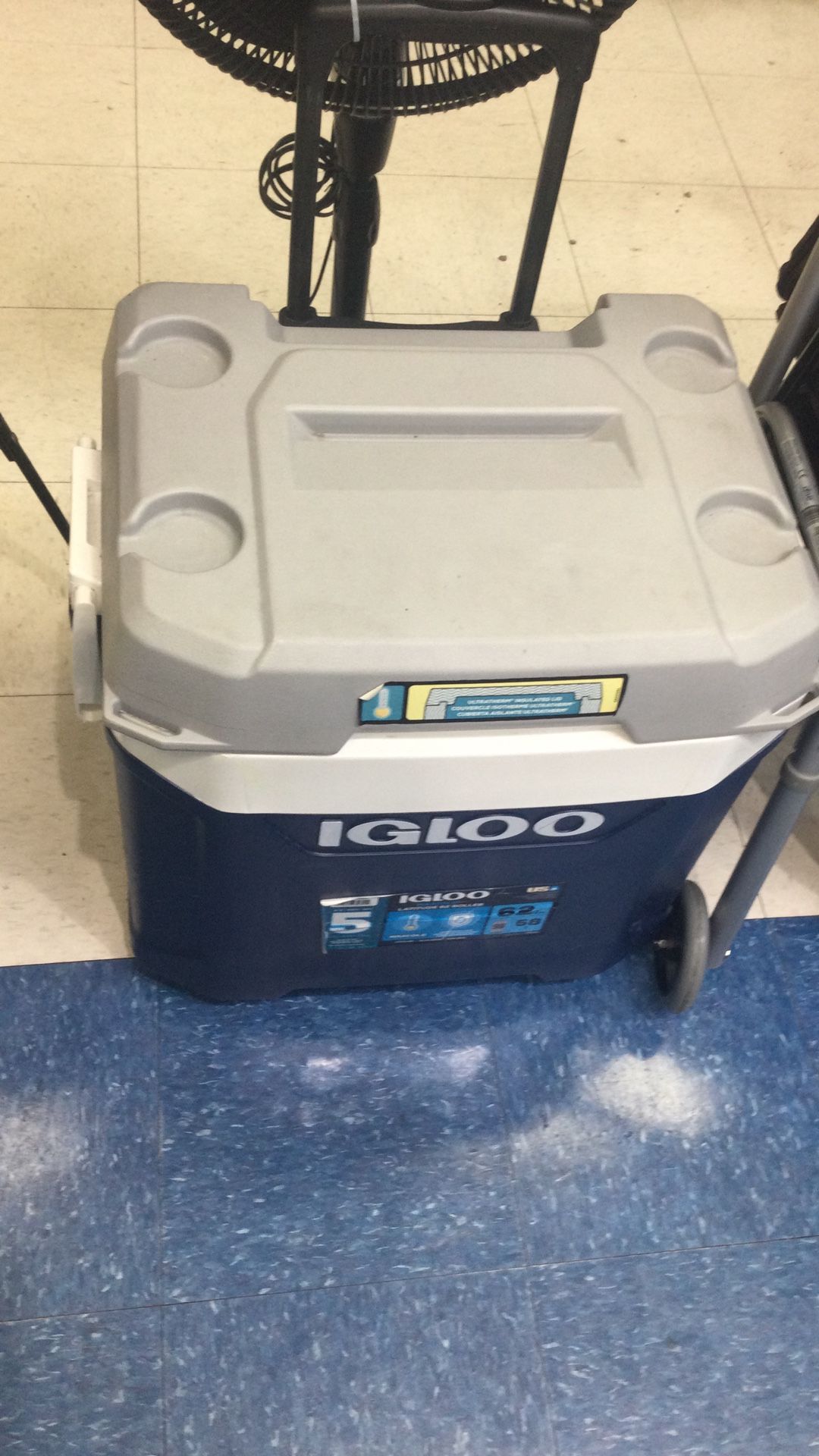 Igloo Cooler