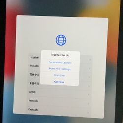 Apple iPad Air 2 Unlocked 128GB Best Offer