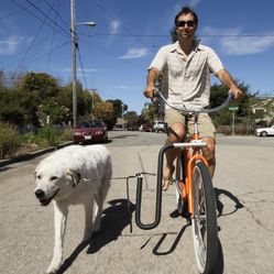 Dog Runner For Bicycle $60