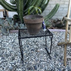 Introducing a vintage Roth iron planter table, measuring 18 inches long, 18 inches tall, and 12 inches across. This unique piece features a black mesh