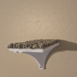 Cat Wall Sheleves New Steps