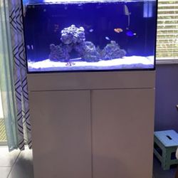 65 Gallon AIO Aquarium 