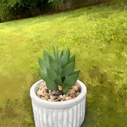 Artificial Potted Succulent Plant