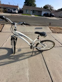 Schwinn Sport Cruiser