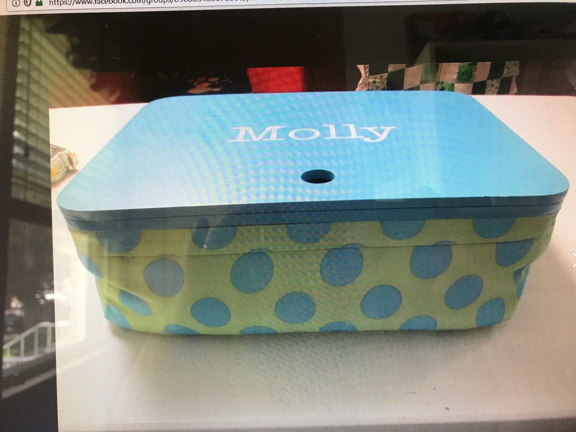 Pottery Barn Kids - Lap Desk