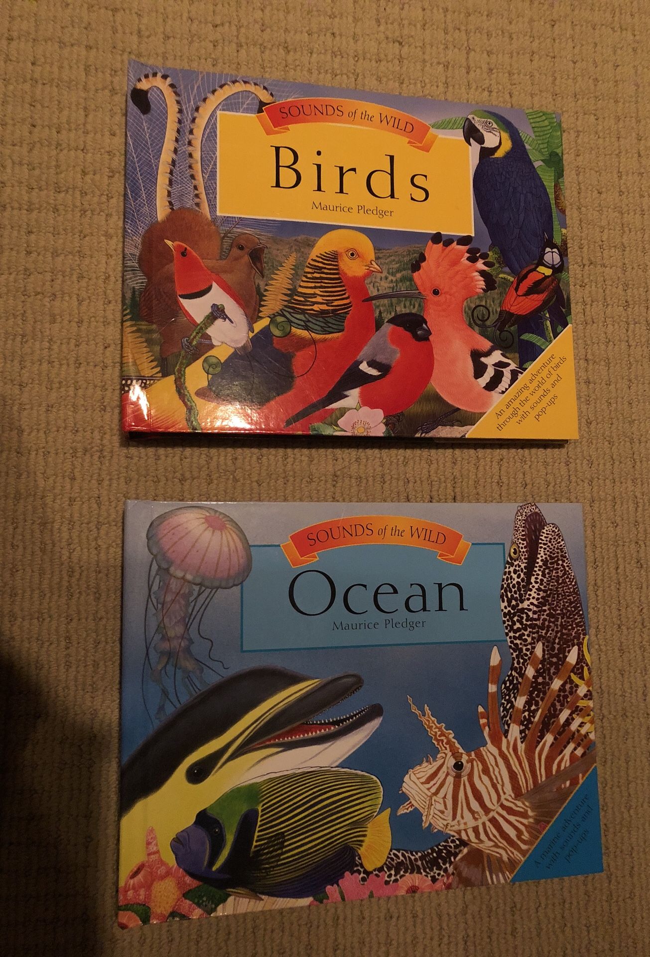 Pop-up books with sounds, birds and ocean animals