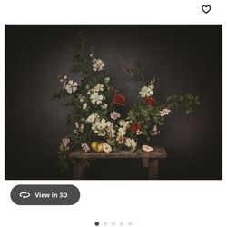 Ikea Canvas Painting