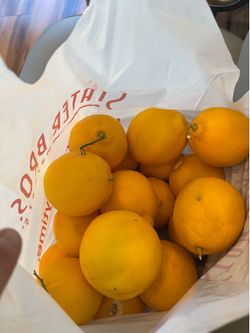 Bag of at least 15 Lemons! Fresh from our tree! 10 bucks for a big bag