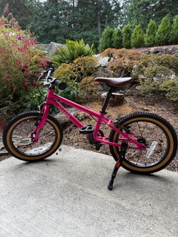 Cleary Hedgehog 16” kids bike