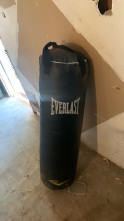 Everlast punching bag
