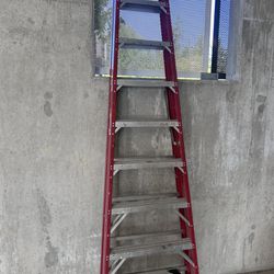 Werner 10ft Ladder 