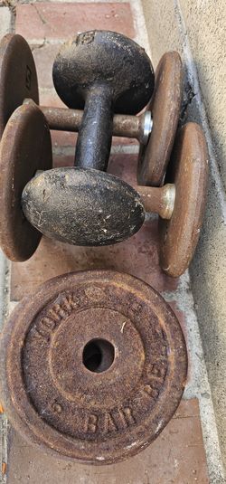 GYM Weights 55 lb for just $25