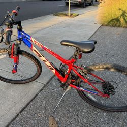 Fuji Blaster Mountain Bike