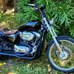 Harley XL1200C 