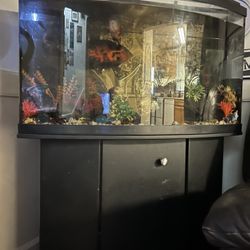 55 Gallon Tank 