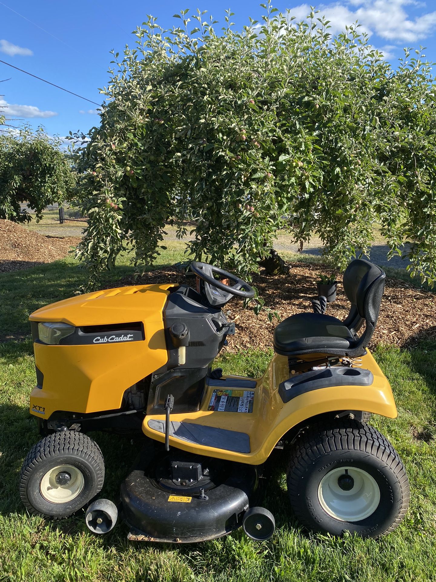 Cub Cadet Riding Mower