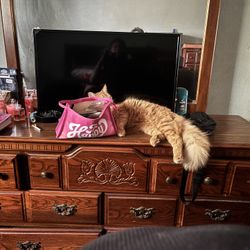 We Are Moving Must Go !! Read Description 