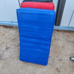 MARTIAL ARTS TRAINING SHIELDS