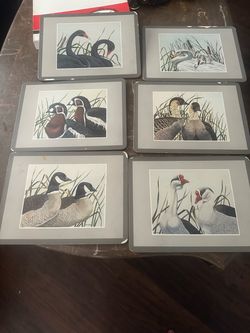 A box of 6 plate duck mats, they got chips / paint disappeared on some corners but they’re really nice